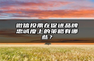 微信投票在促进品牌忠诚度上的策略有哪些？