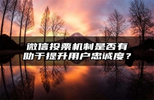 微信投票机制是否有助于提升用户忠诚度？