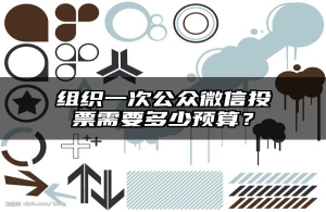 组织一次公众微信投票需要多少预算？