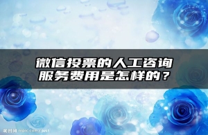 微信投票的人工咨询服务费用是怎样的？