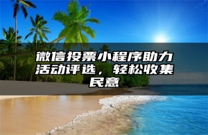 微信投票小程序助力活动评选，轻松收集民意