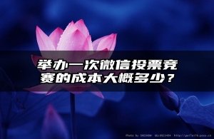 举办一次微信投票竞赛的成本大概多少？