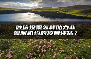 微信投票怎样助力非盈利机构的项目评估？