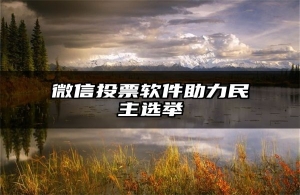微信投票软件助力民主选举