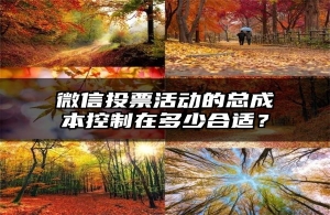 微信投票活动的总成本控制在多少合适？