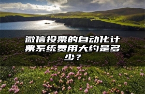 微信投票的自动化计票系统费用大约是多少？