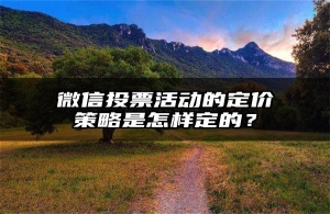 微信投票活动的定价策略是怎样定的？
