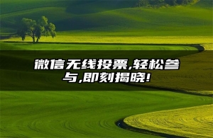 微信无线投票,轻松参与,即刻揭晓!