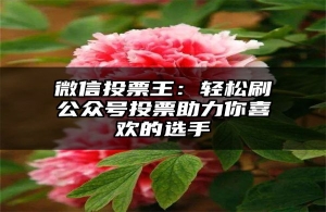 微信投票王：轻松刷公众号投票助力你喜欢的选手