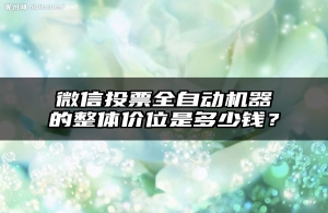 微信投票全自动机器的整体价位是多少钱？