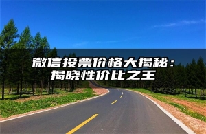 微信投票价格大揭秘：揭晓性价比之王