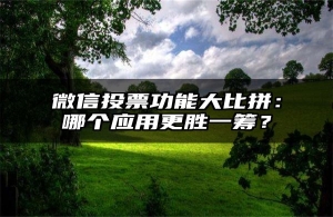 微信投票功能大比拼：哪个应用更胜一筹？