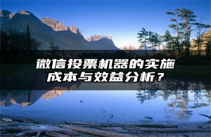 微信投票机器的实施成本与效益分析？