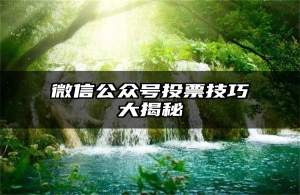 微信公众号投票技巧大揭秘