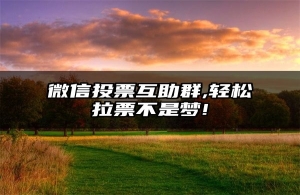 微信投票互助群,轻松拉票不是梦!