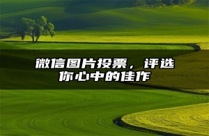 微信图片投票，评选你心中的佳作