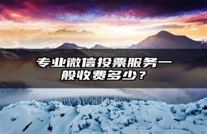 专业微信投票服务一般收费多少？