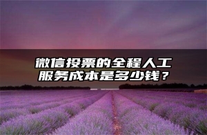 微信投票的全程人工服务成本是多少钱？
