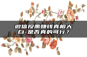 微信投票赚钱真相大白-是否真的可行？