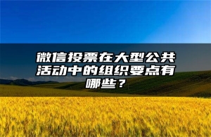 微信投票在大型公共活动中的组织要点有哪些？