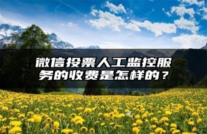 微信投票人工监控服务的收费是怎样的？