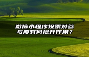 微信小程序投票对参与度有何提升作用？