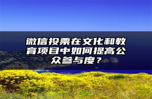 微信投票在文化和教育项目中如何提高公众参与度？