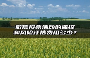 微信投票活动的监控和风险评估费用多少？