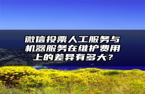 微信投票人工服务与机器服务在维护费用上的差异有多大？