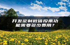 开发定制微信投票功能需要多少费用？