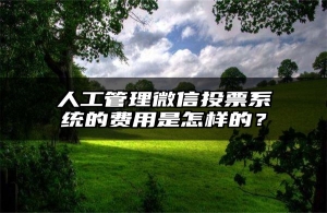 人工管理微信投票系统的费用是怎样的？
