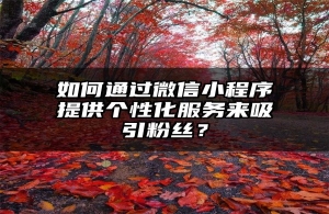 如何通过微信小程序提供个性化服务来吸引粉丝？