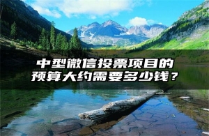 中型微信投票项目的预算大约需要多少钱？