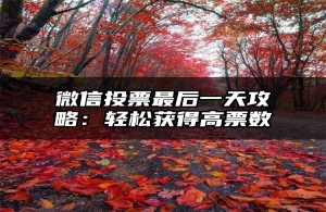 微信投票最后一天攻略：轻松获得高票数
