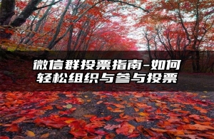 微信群投票指南-如何轻松组织与参与投票