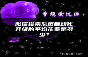 微信投票系统自动化升级的平均花费是多少？