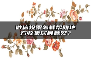 微信投票怎样帮助地方收集居民意见？