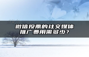 微信投票的社交媒体推广费用需多少？