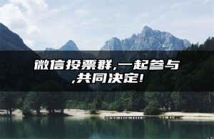 微信投票群,一起参与,共同决定!