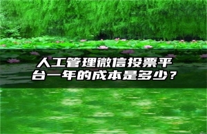 人工管理微信投票平台一年的成本是多少？