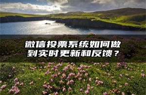 微信投票系统如何做到实时更新和反馈？