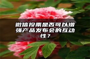 微信投票是否可以增强产品发布会的互动性？