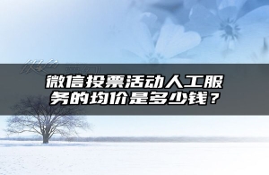 微信投票活动人工服务的均价是多少钱？