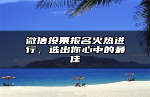 微信投票报名火热进行，选出你心中的最佳