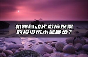 机器自动化微信投票的投资成本是多少？