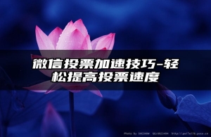 微信投票加速技巧-轻松提高投票速度