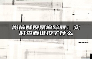 微信群投票追踪器：实时查看谁投了什么