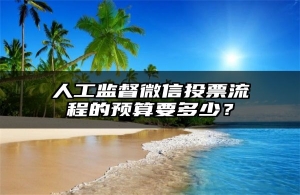 人工监督微信投票流程的预算要多少？