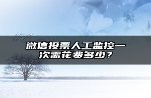 微信投票人工监控一次需花费多少？