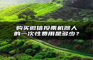 购买微信投票机器人的一次性费用是多少？